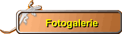 Fotogalerie