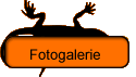 Fotogalerie