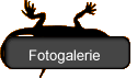 Fotogalerie